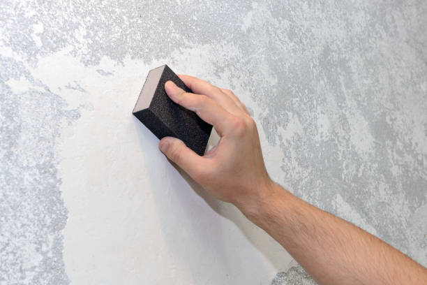 Best Mold Removal for HVAC Installations  in Grayslake, IL