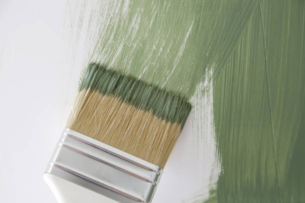 Best Forensic Mold Investigation  in Grayslake, IL