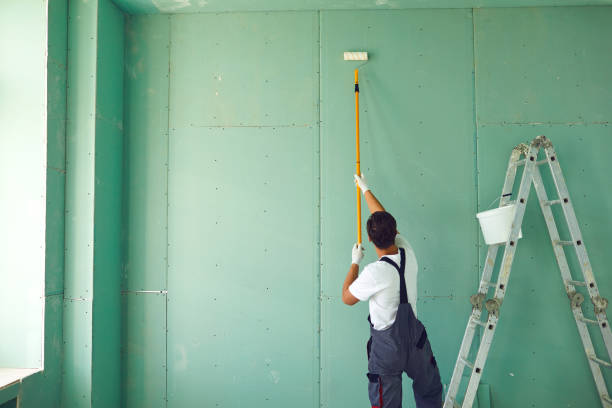 Best Emergency Mold Remediation  in Grayslake, IL