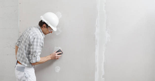 Best Mold-Related Health Consultation  in Grayslake, IL