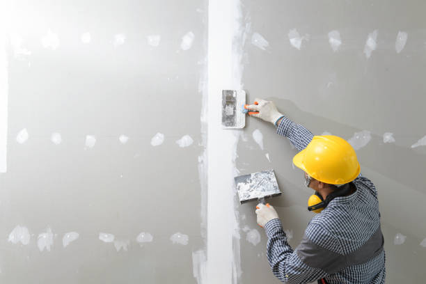 Best Biohazard Mold Removal  in Grayslake, IL