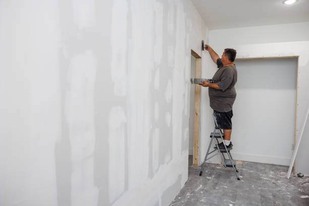  Grayslake, IL Mold Removal Pros