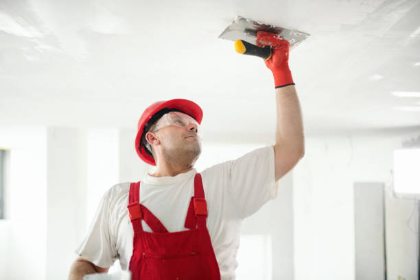 Professional Mold Removal in Grayslake, IL