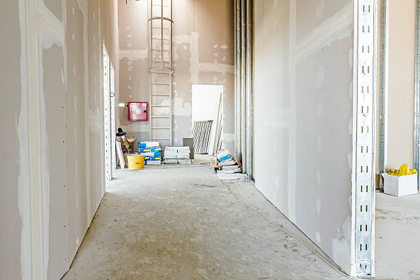 Best Airborne Mold Testing  in Grayslake, IL