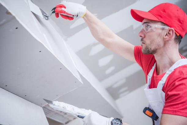 Best HVAC Mold Inspection and Cleaning  in Grayslake, IL